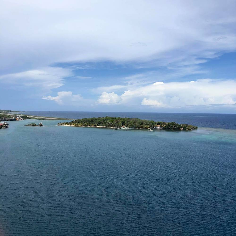 Meet your Posher, Brad